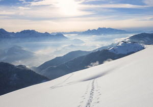 做试管需要注意什么问题？提高试管成功率只要做好这几点！_